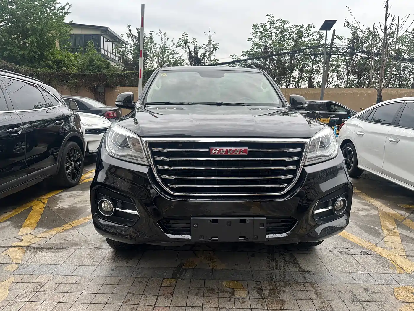 HAVAL H9