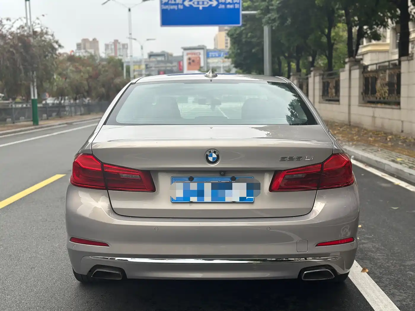BMW 5 Series 2019 525Li Luxury Package фото 8