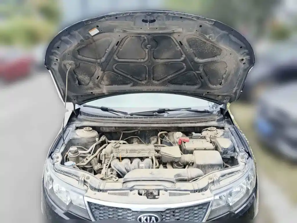 Kia Forte 2013 2012 1.6L MT GL Commemorative Edition