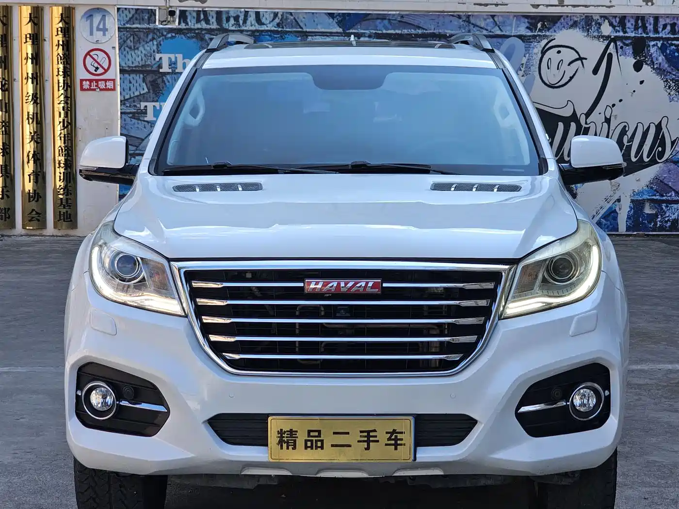 HAVAL H9