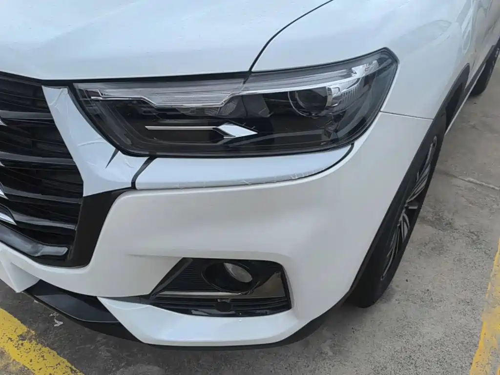 Haval H6 2026 2025 1.5T National Trend Champion Edition