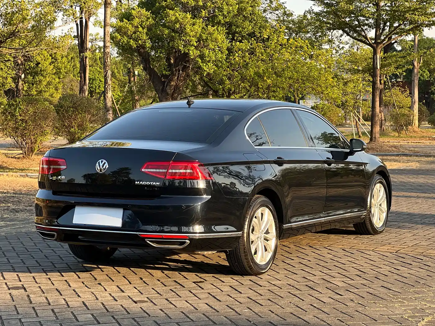 Volkswagen Magotan 2019 330TSI DSG Luxury Class China VI фото 4