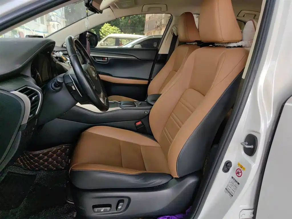 Lexus NX 2018 Model 300 FWD Fengxing Edition фото 12