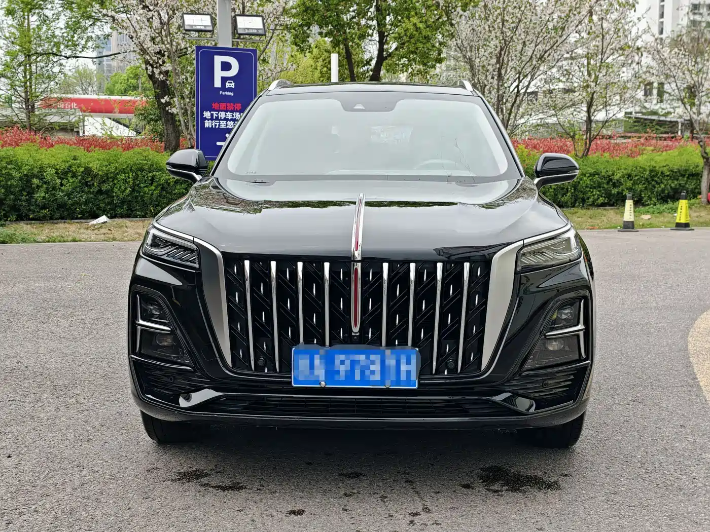 Hongqi HS5 2023 2.0T Flag Enjoy Pro Edition фото 2