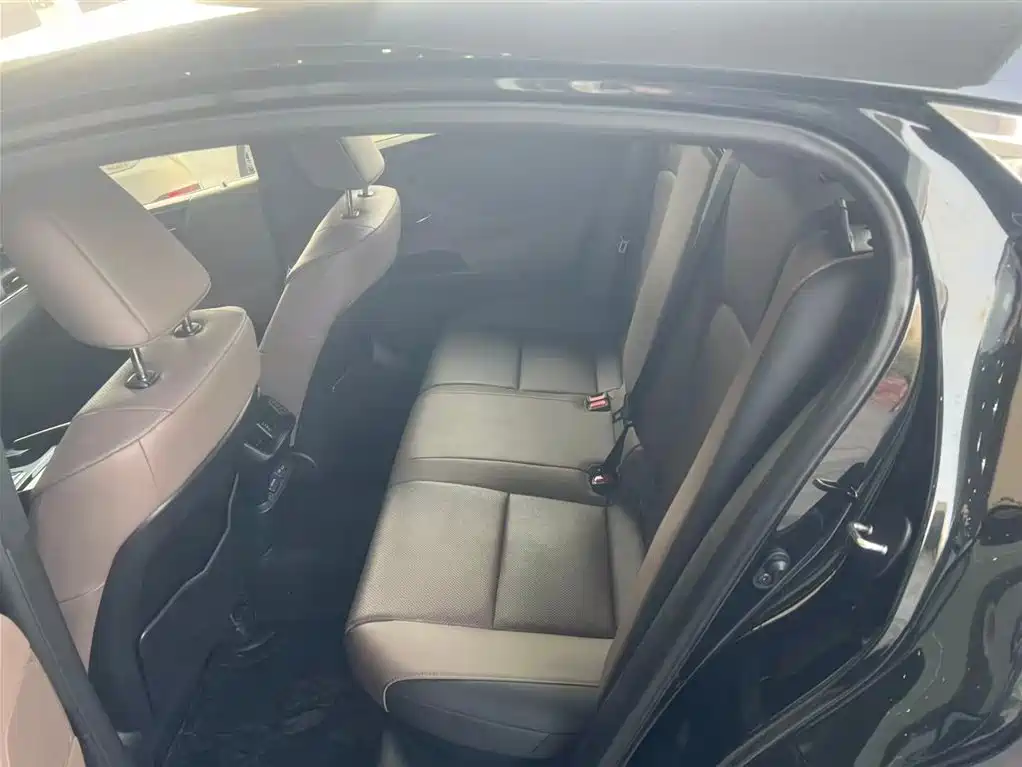 Lexus ES 2021 300h Excellence Edition фото 4
