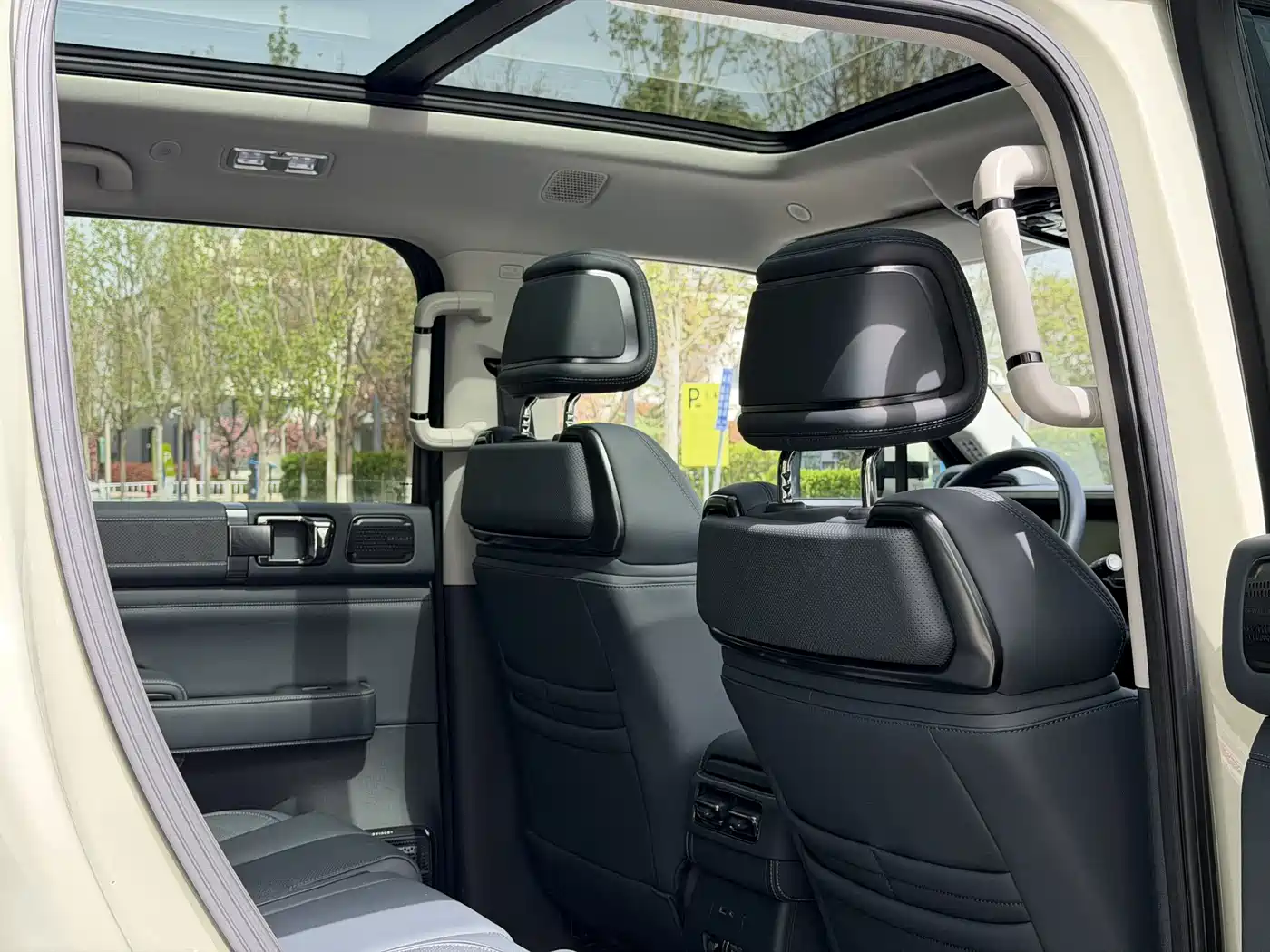 FANG CHENG BAO LEOPARD 5