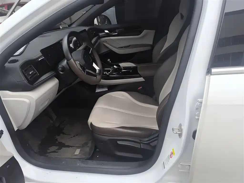 BYD Qin PLUS 2023 Champion Edition DM-i 55KM Leading фото 15