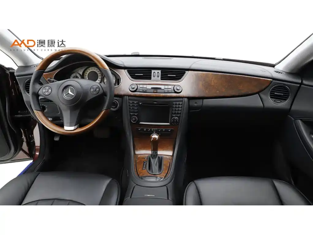 Mercedes-Benz CLS 2009 CLS 300 фото 5