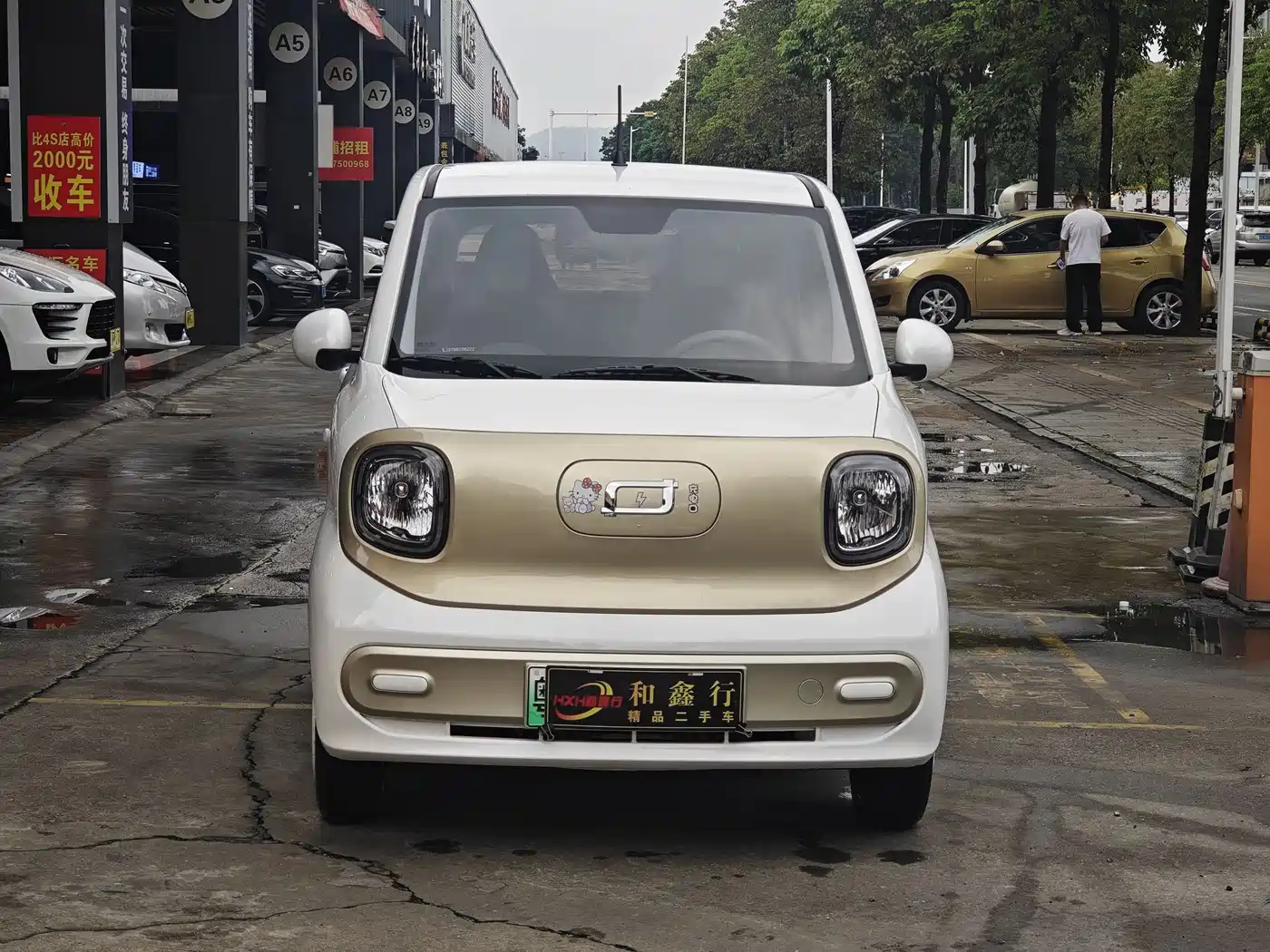 BESTUNE PENTIUM PONY