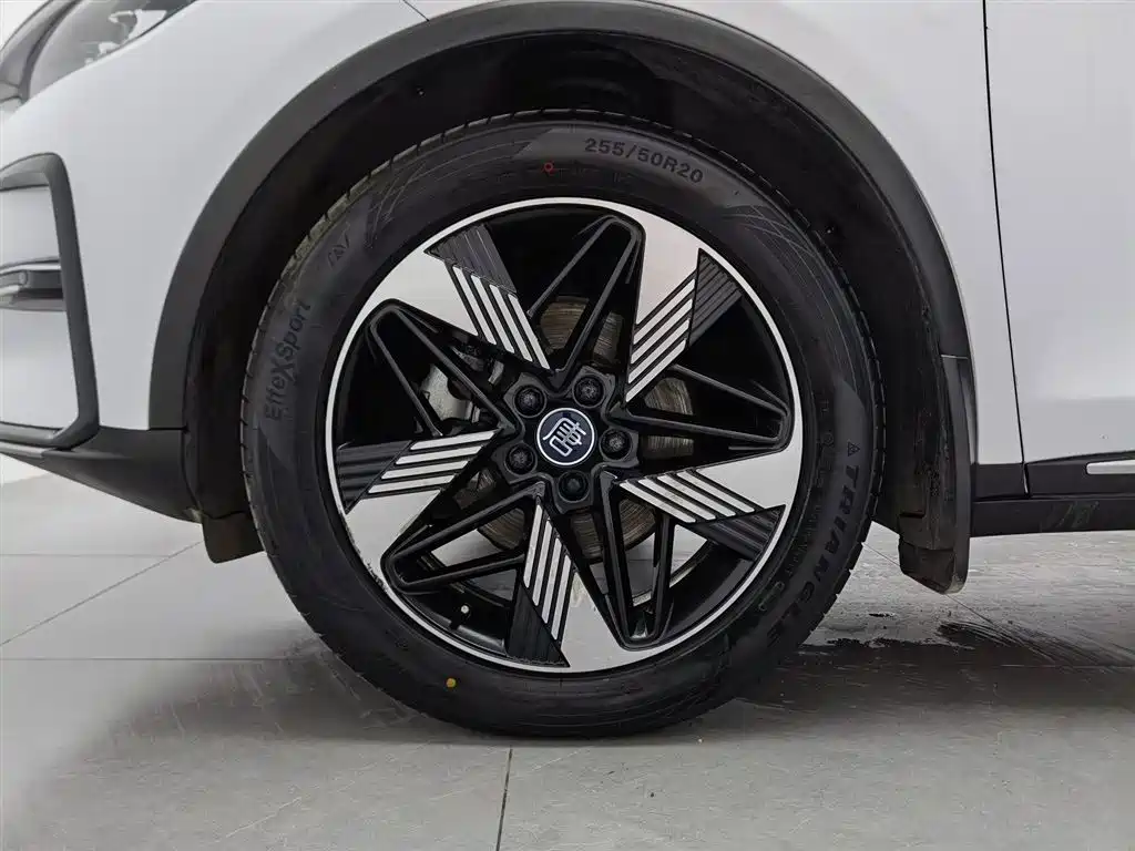 BYD Tang New Energy 2023 Model DM-i Champion Edition 112KM Premium фото 17