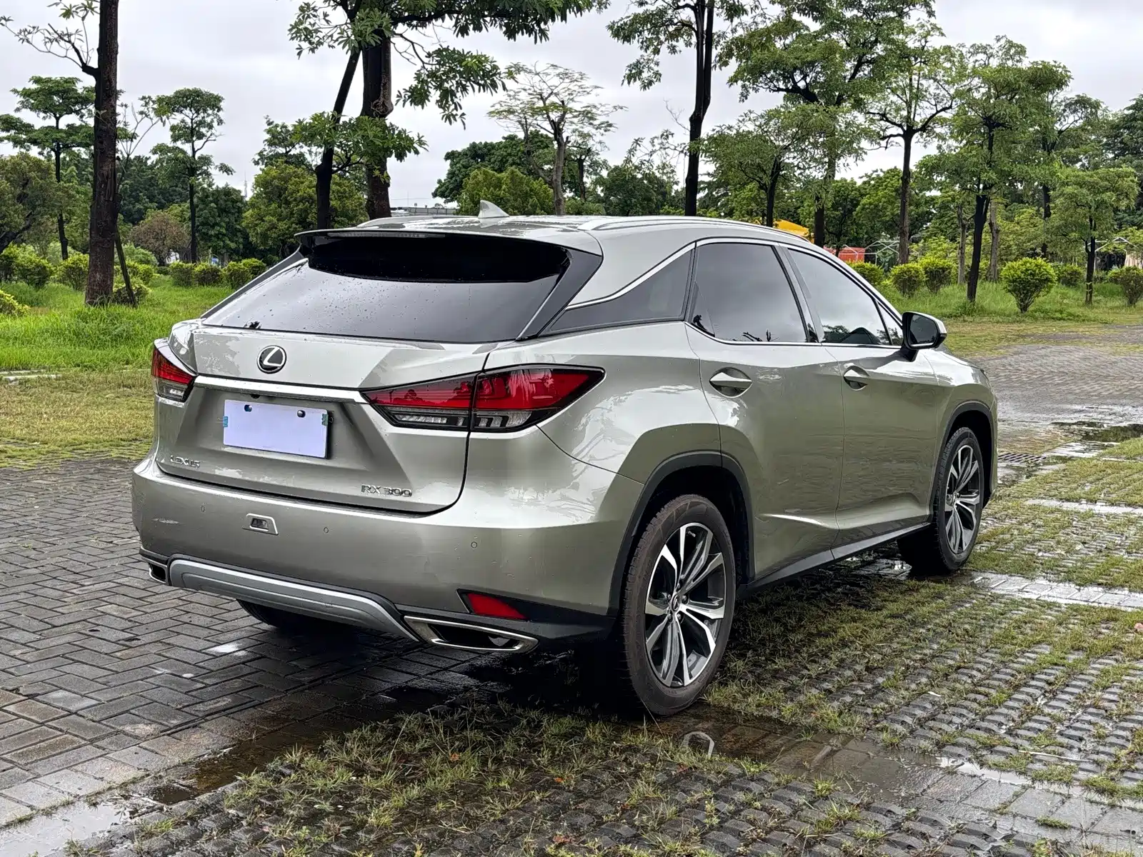 Фото 6 - Lexus RX
