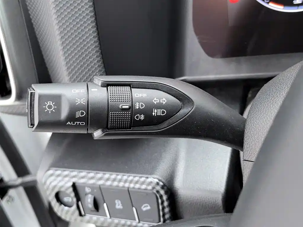 Haval Big Dog 2024 2.0T DCT Chinese Rural Dog Edition фото 21