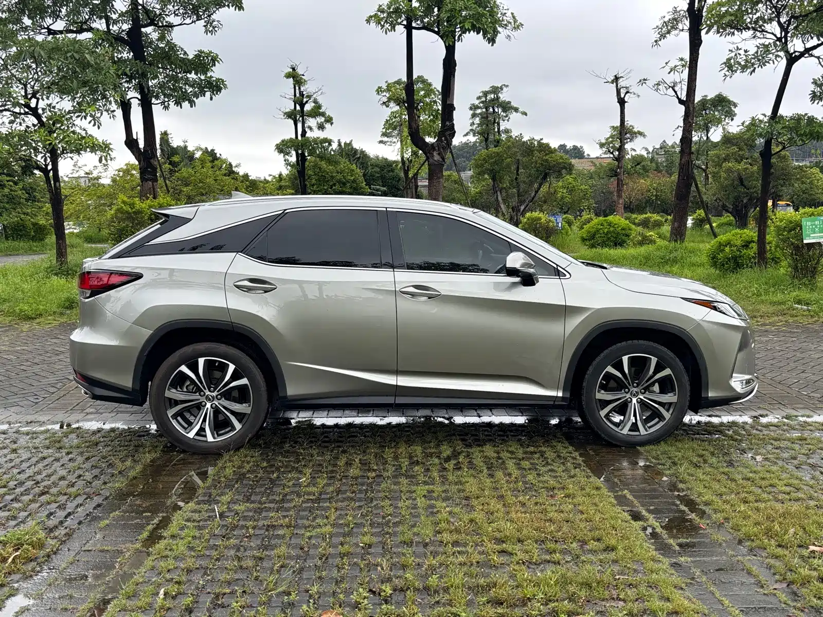 Фото 4 - Lexus RX