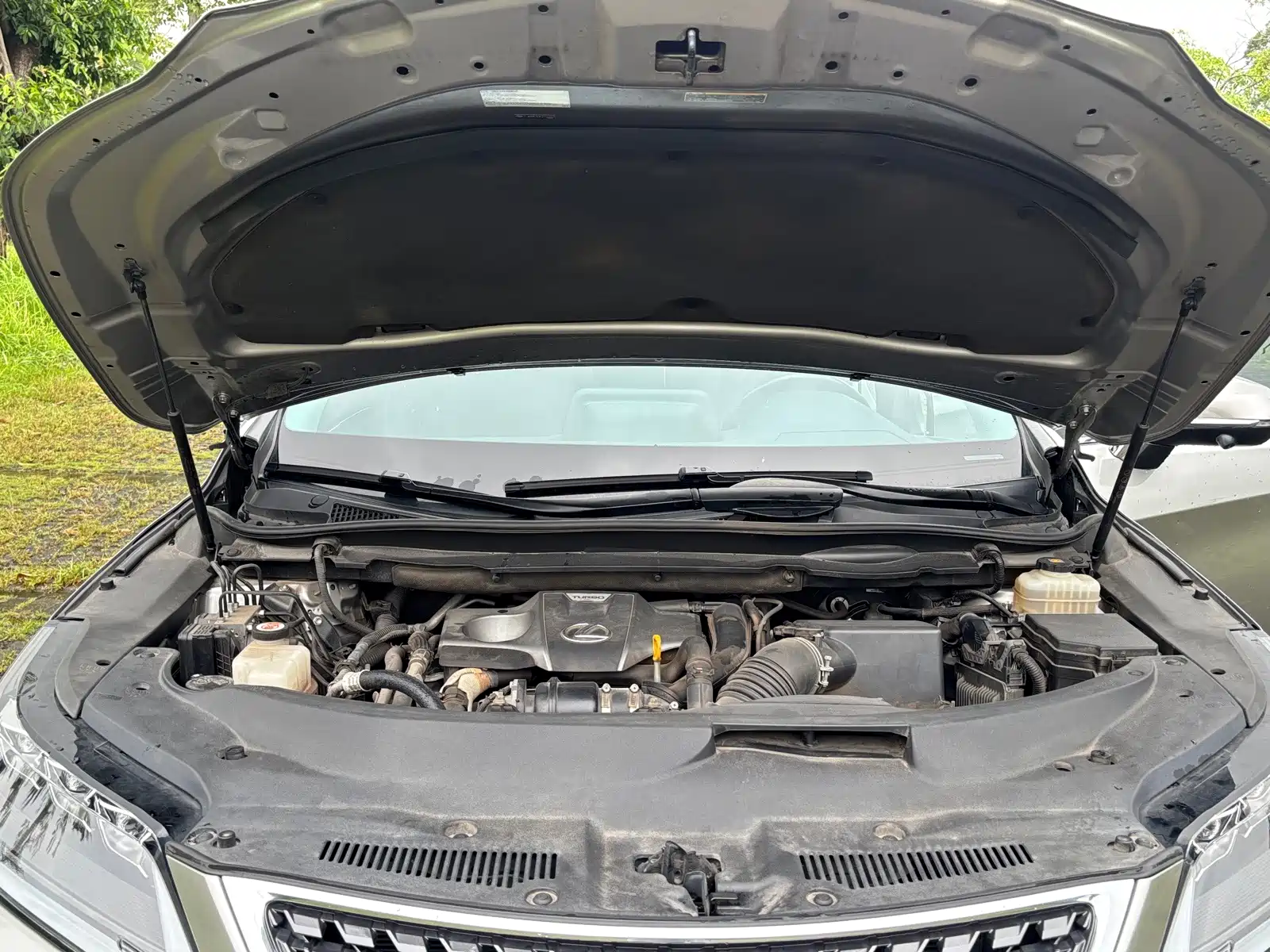 Фото 15 - Lexus RX