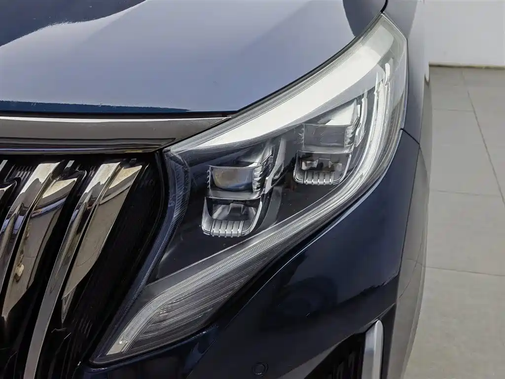 GAC Trumpchi Trumpchi M8 2020 Master Edition 390T Ultimate фото 7