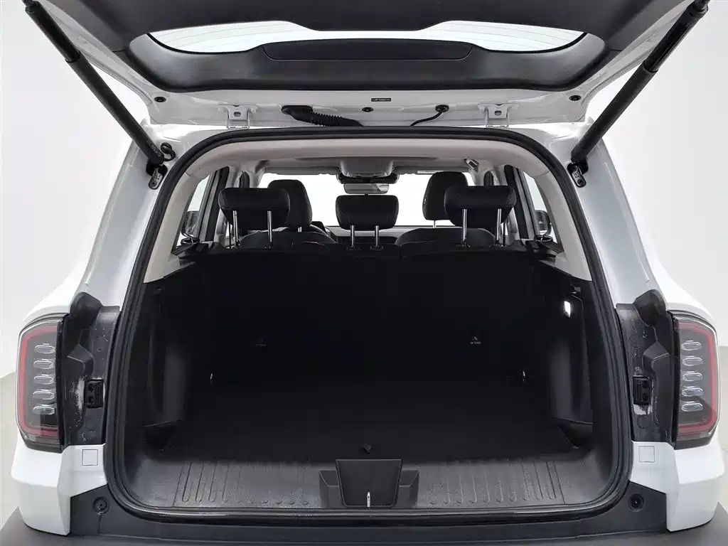 Haval Big Dog 2024 2.0T DCT Chinese Rural Dog Edition фото 16