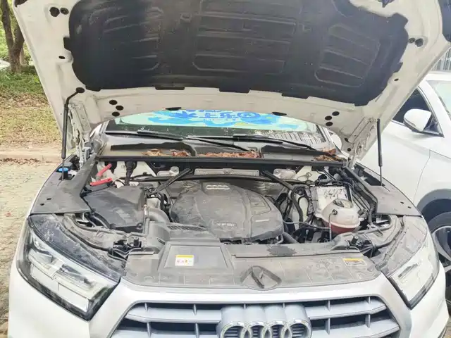 Audi Q5L 2020 Facelift 40 TFSI Honor Fashion — фото 3