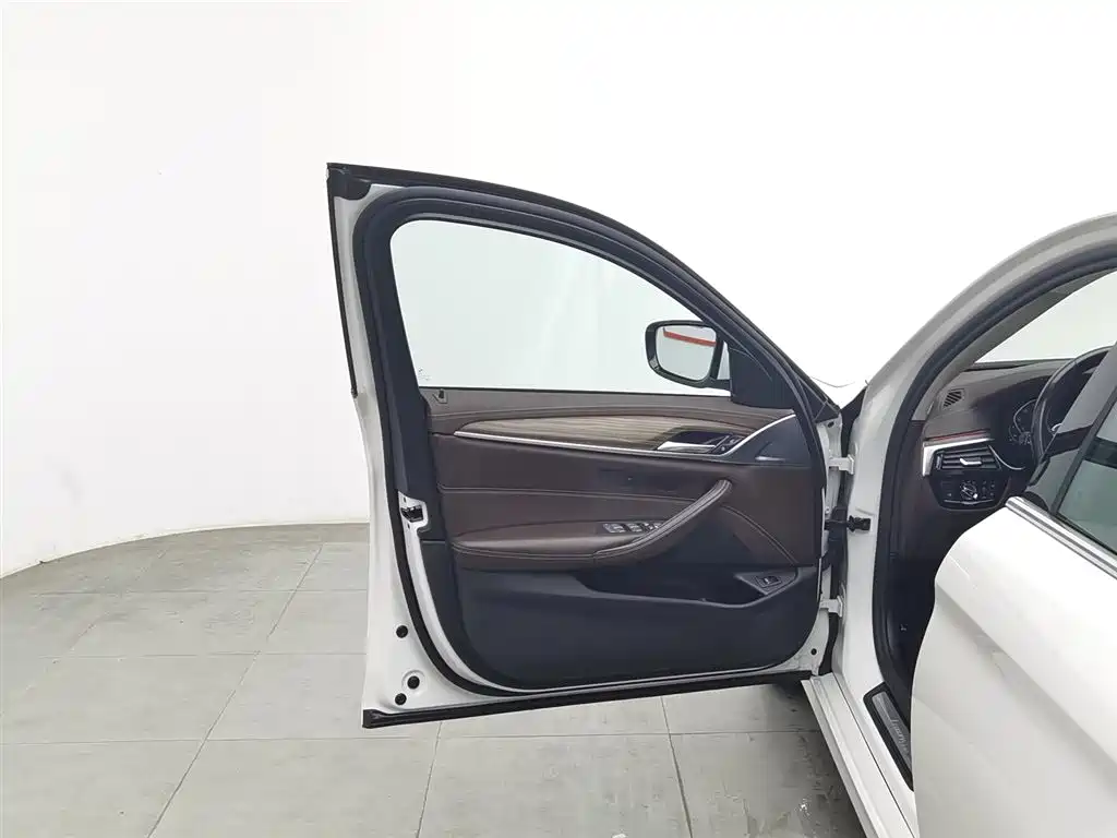 BMW 5 Series 2020 530Li Leading Luxury Package фото 8