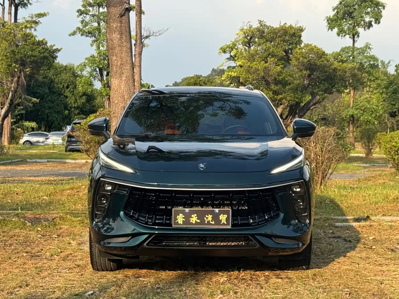 Dongfeng Fengxing Fengxing T5 EVO 2021 2021 1.5TD DCT Starlight Edition