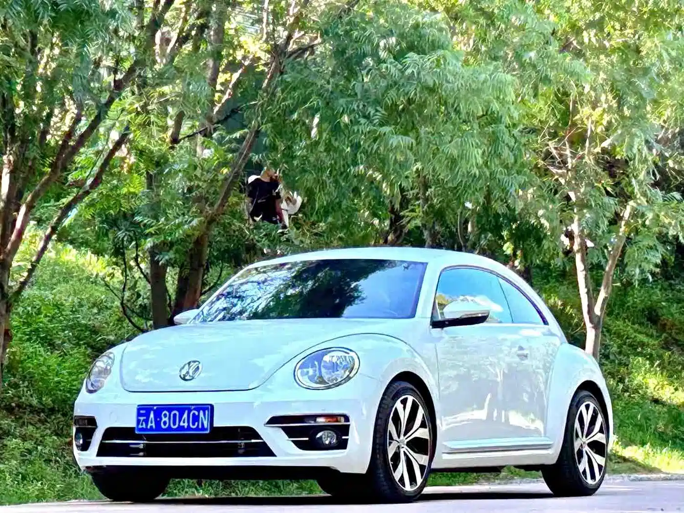 Volkswagen Beetle 2017 180TSI Enjoy