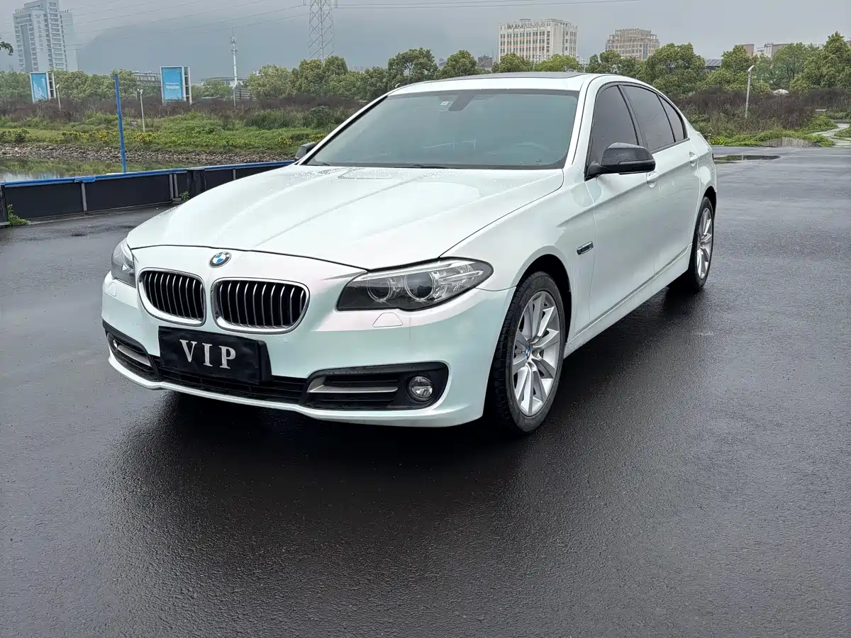 BMW 5 Series 2013 530Li Leadership фото 2