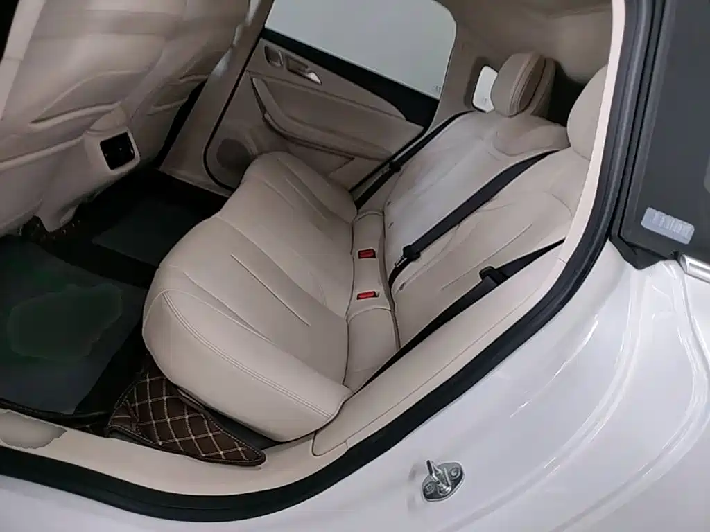 Фото 17 - Dongfeng Fengxing Stellar S7