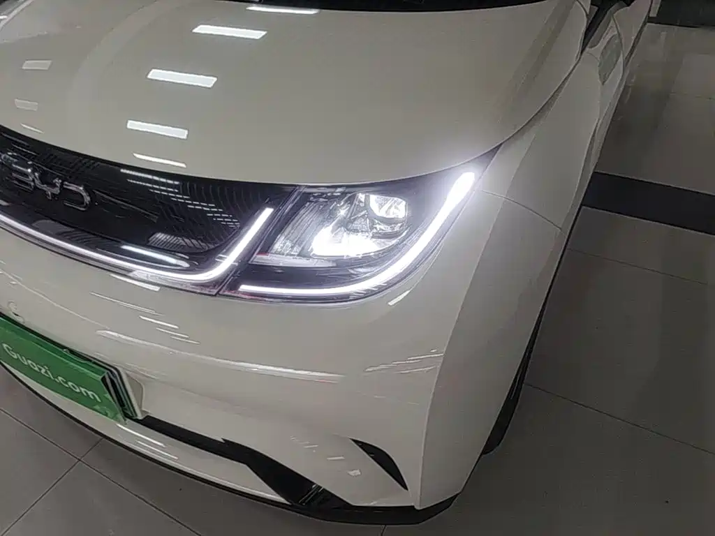 BYD Dolphin 2026 2025 420km Freedom Edition