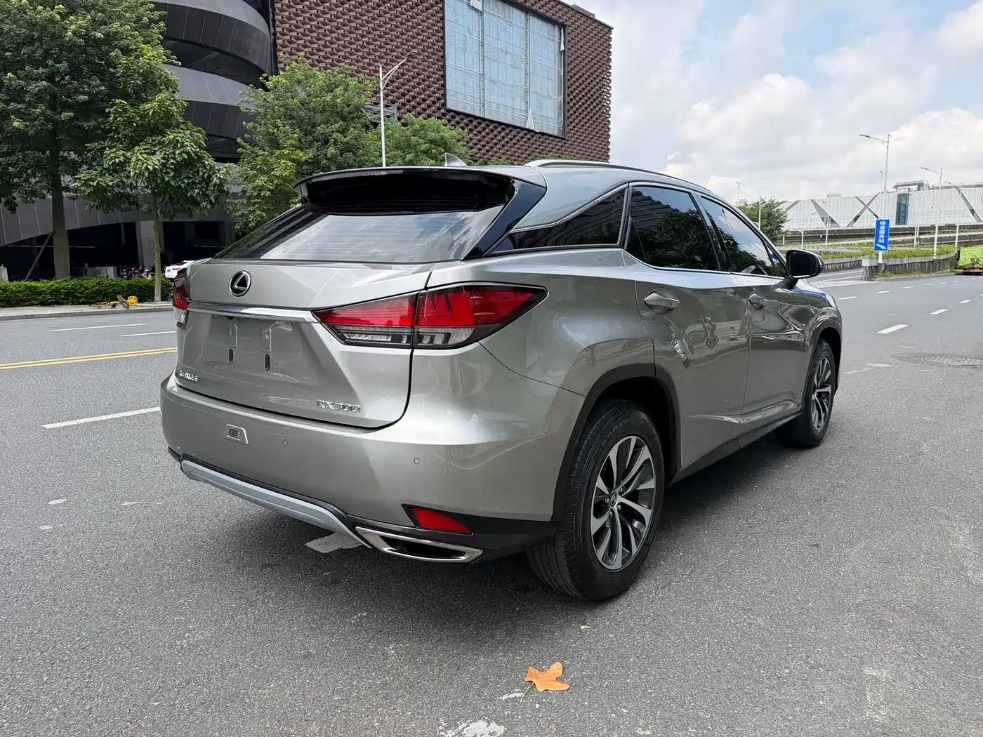Фото 11 - Lexus RX