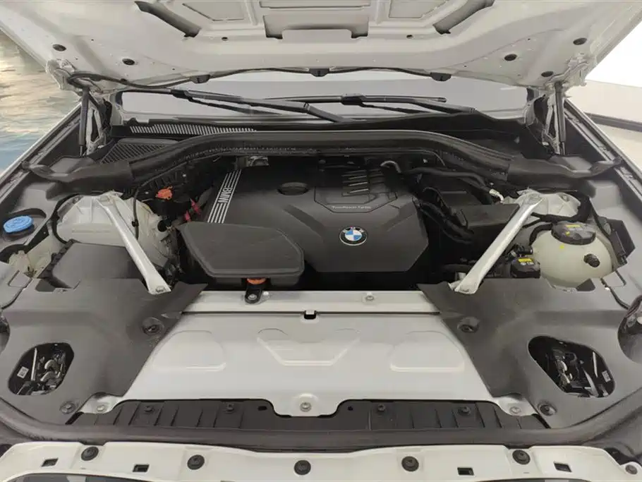 BMW X3 2022 xDrive30i Leading M Night Package фото 10