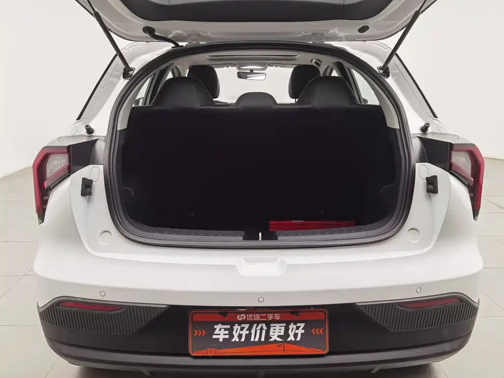 Geely Geometry E Firefly 2023 2023 401KM Linglong Tiger 5-Seater