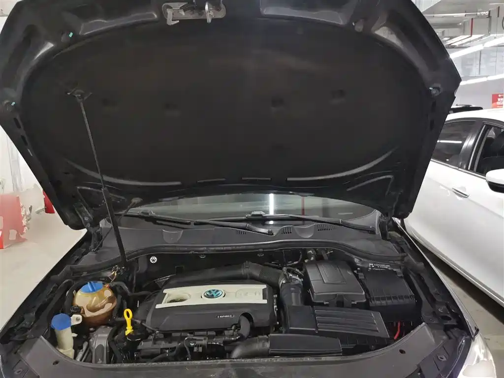 Volkswagen Magotan 2016 1.8TSI Smart Leading фото 20