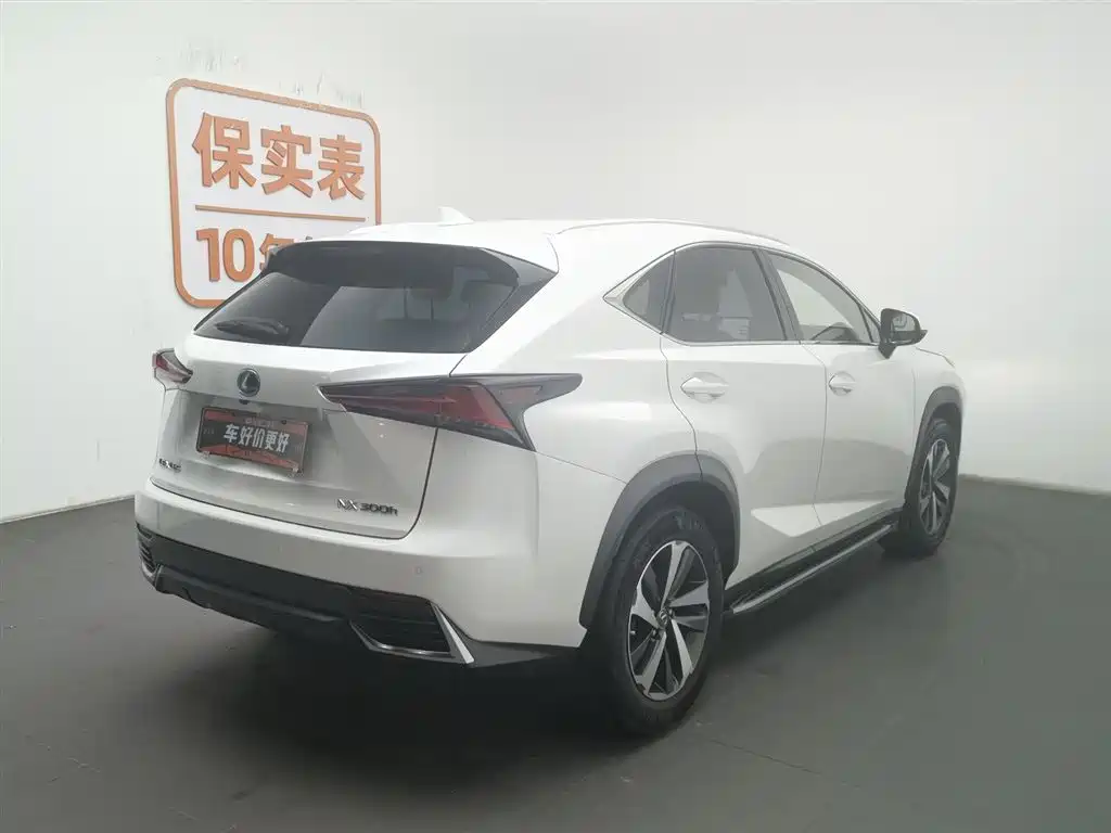 Lexus NX 2018 Model 300h FWD Fengshang Edition China V фото 2