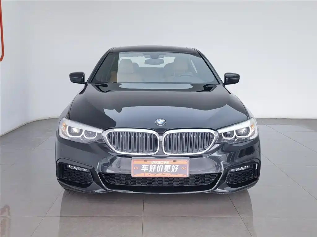 BMW 5 Series 2019 530Li Leading M Sport Package фото 3