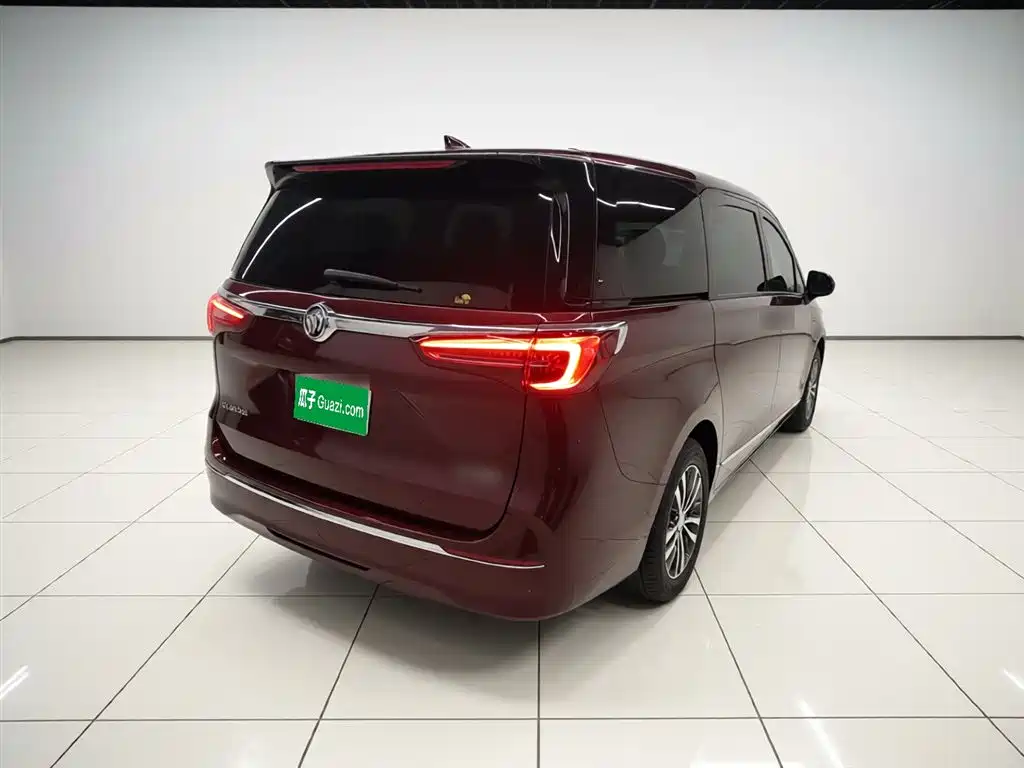 Buick GL8 2022 ES Landmark 653T Premium фото 7