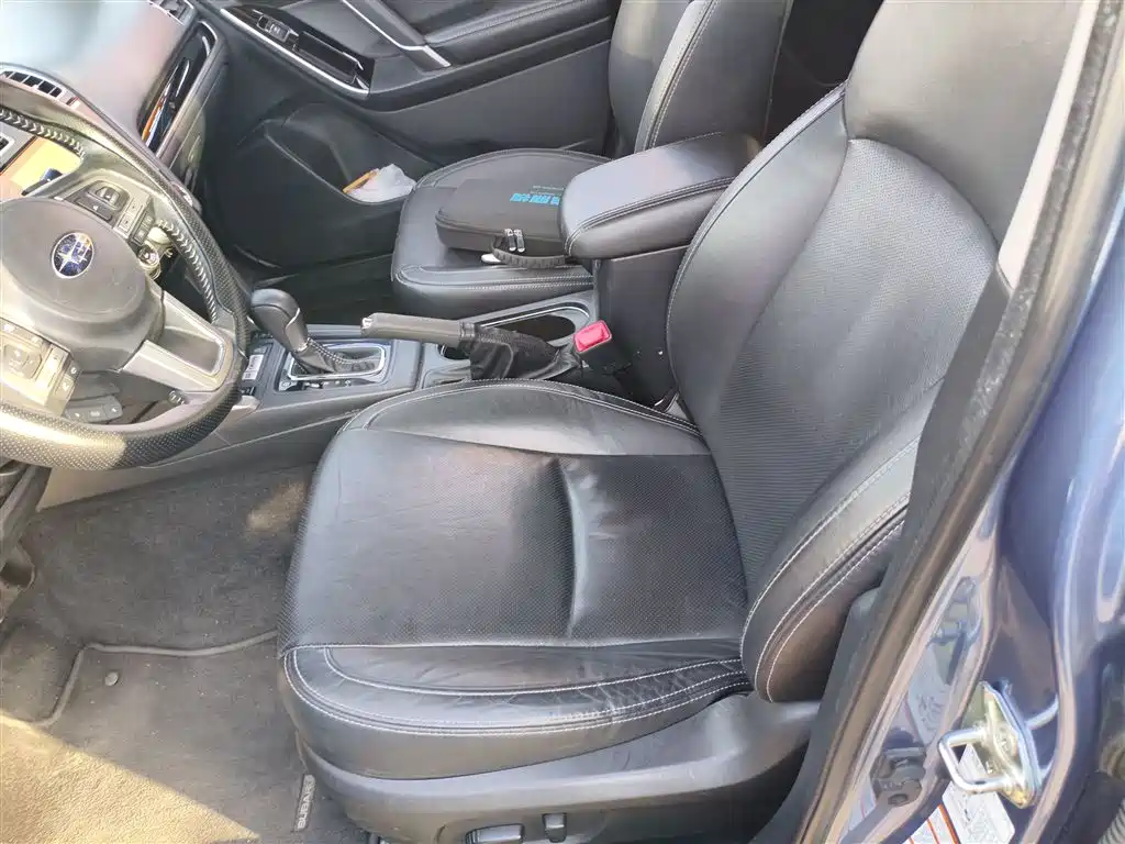 Subaru Forester 2018 2.5i Premium Navigation Edition EyeSight фото 11