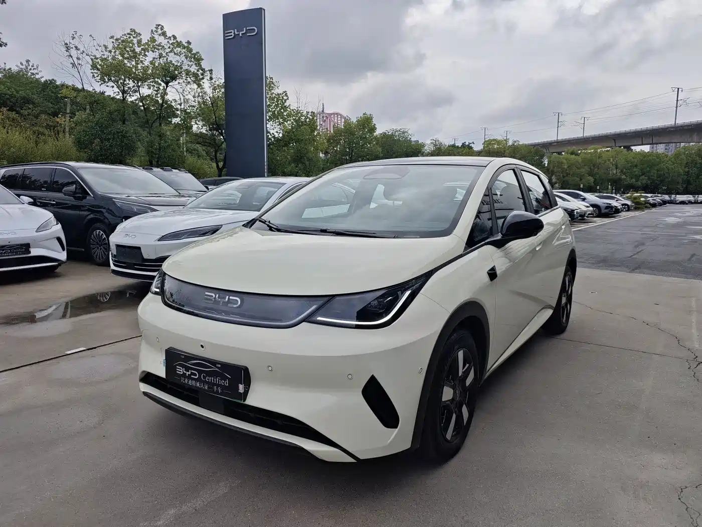 BYD Dolphin 2025 Smart Drive Edition 410km Fashion Version