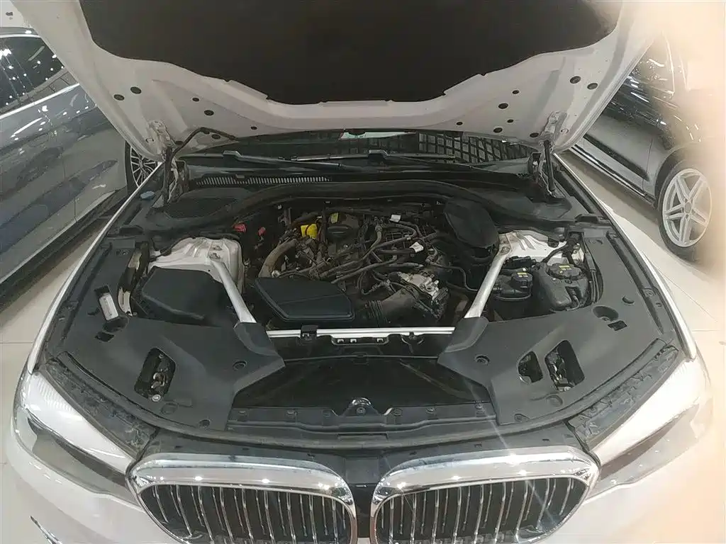 BMW 5 Series 2019 525Li Luxury Package фото 20