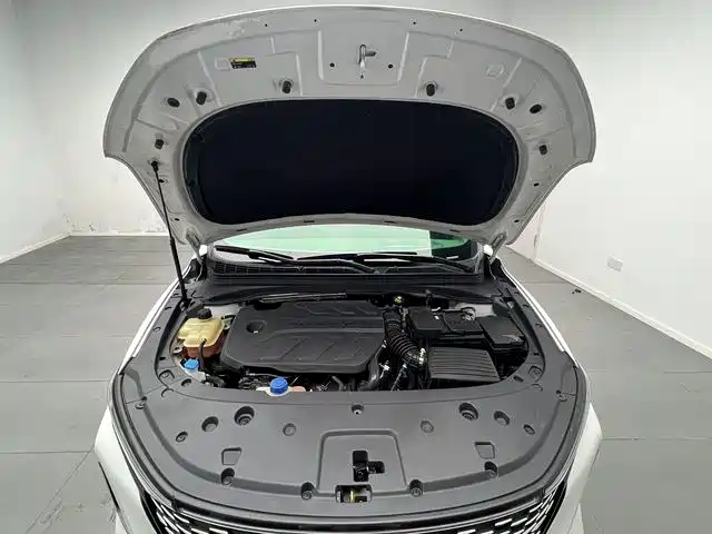 Changan Ruicheng PLUS 2023 2023 1.5T DCT Leading Joy Version