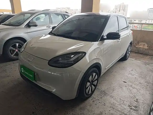 Wuling Bingo 333km, коннект
