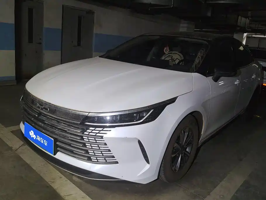 BYD DESTROYER 05