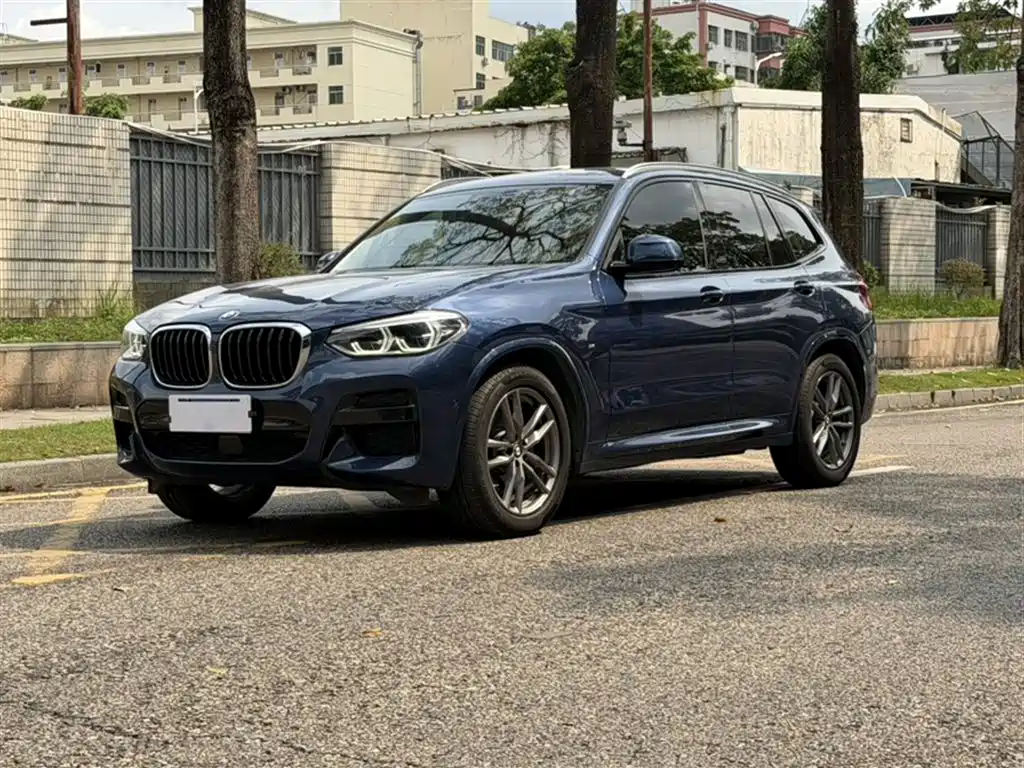 BMW X3 2018 xDrive25i M Sport Package China VI фото 2