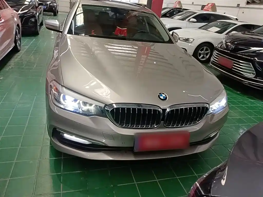 BMW 5 Series 2018 528Li Launch Special Edition фото 3