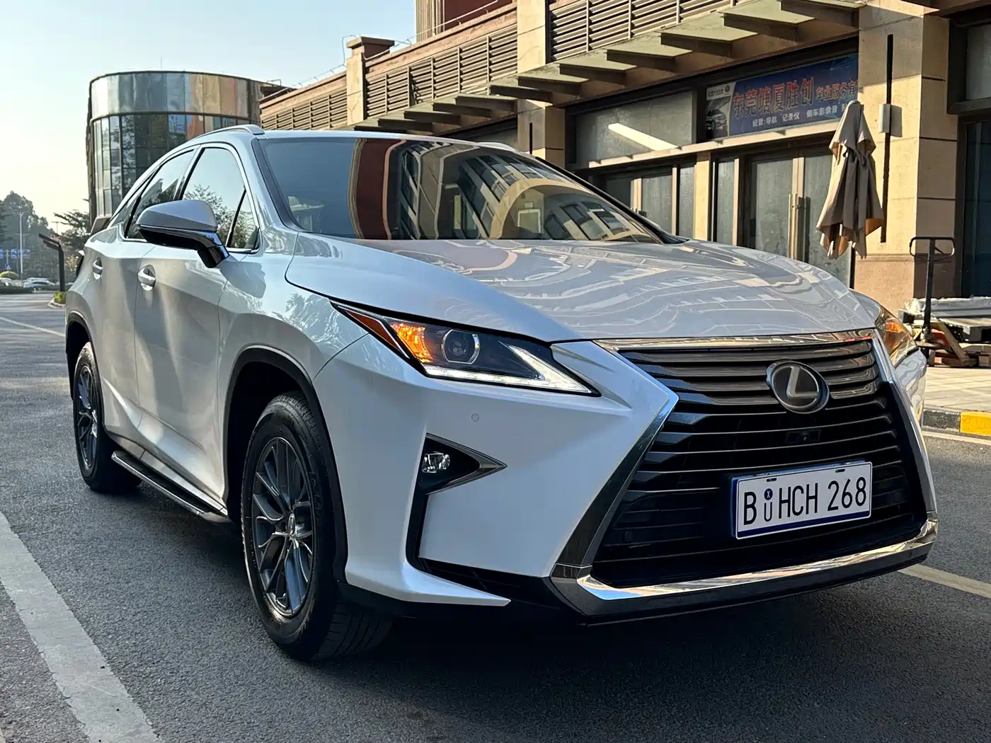 Lexus RX 2016 300 2WD Elite Edition (China V) фото 3