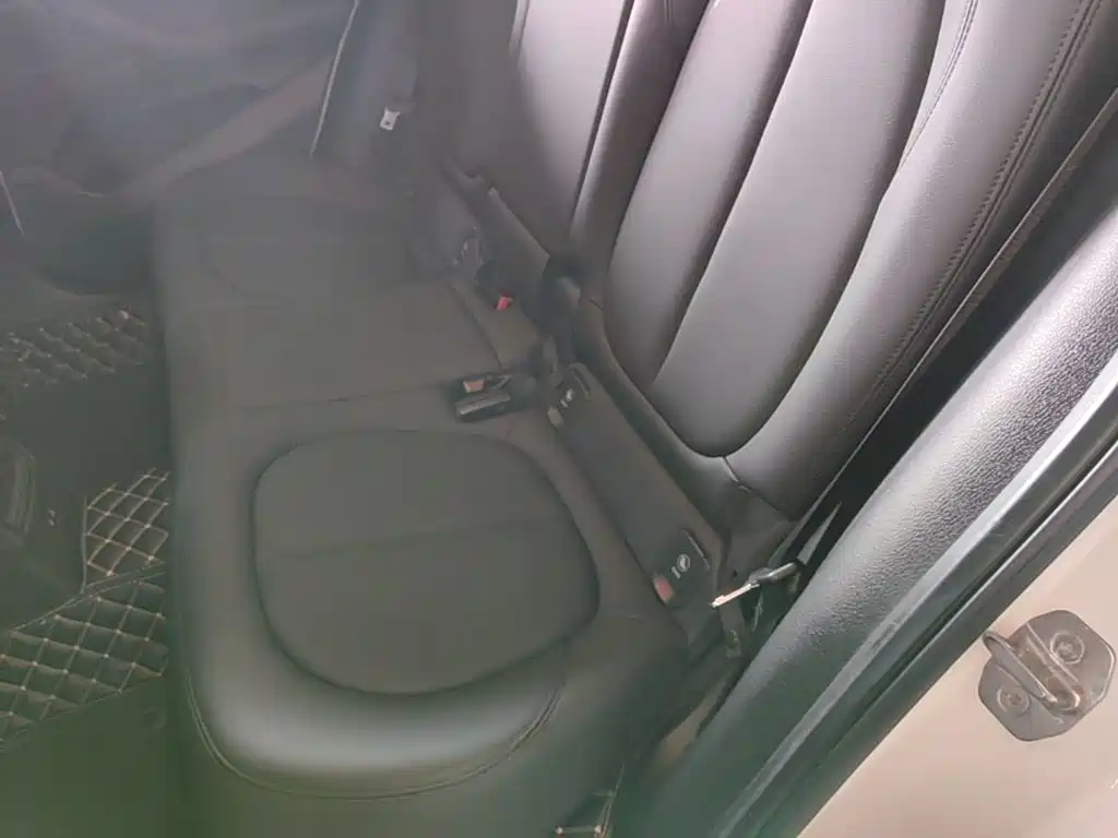 BMW X2 (Import) 2019 2019 sDrive20i M Off-Road Package China VI