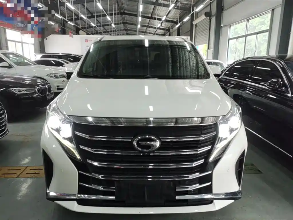GAC Trumpchi Trumpchi M8 2021 Leading Show Series 390T Ultimate Edition фото 3