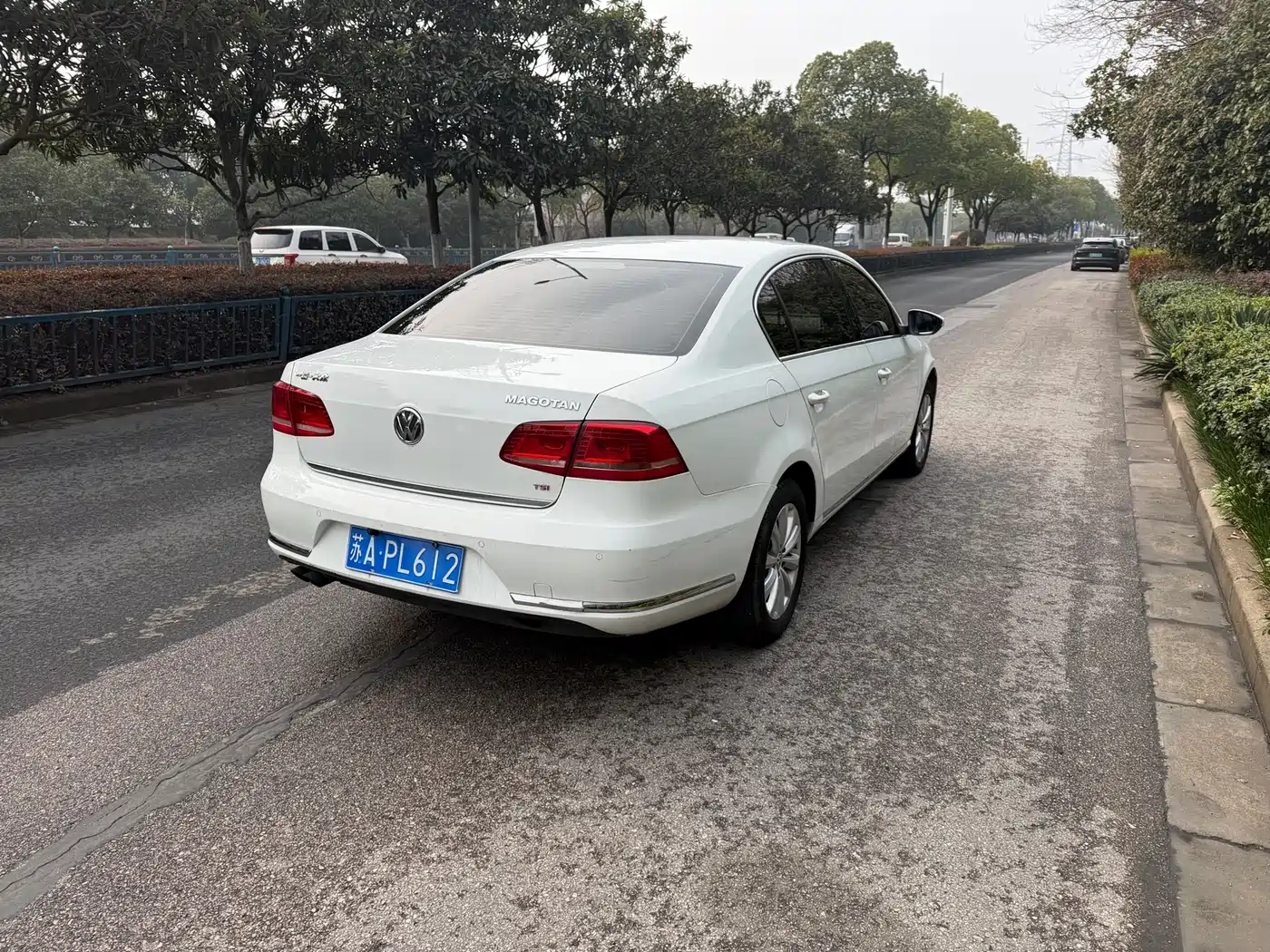 Volkswagen Magotan 2013 1.8TSI Luxury фото 6