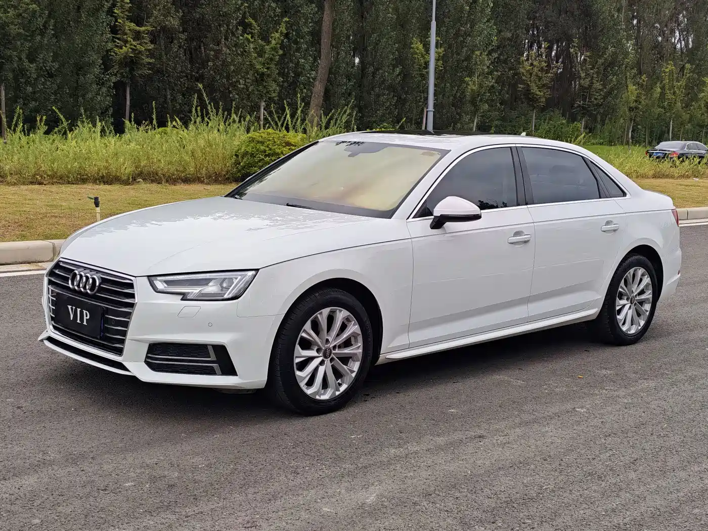 Audi A4L 2019 40 TFSI Progressive (China VI)