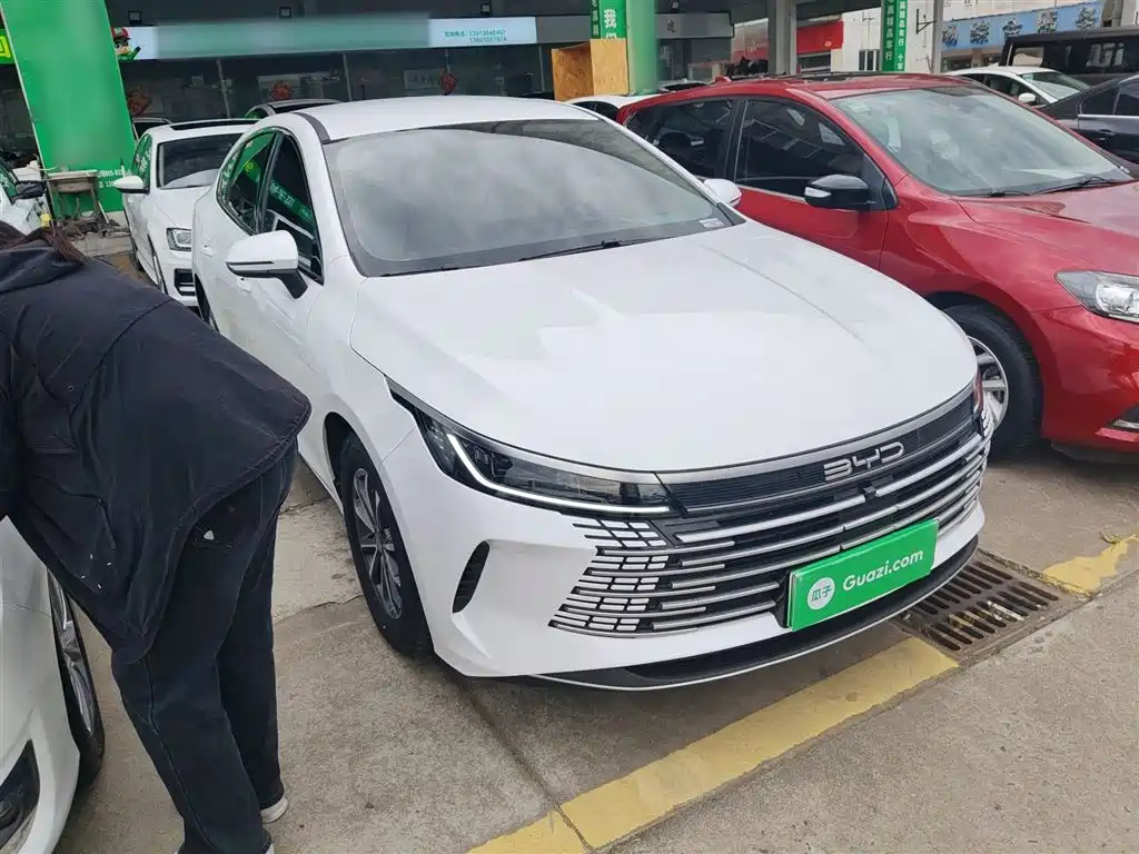 BYD Destroyer 05 2024 Glory Edition DM-i 55KM Luxury фото 4