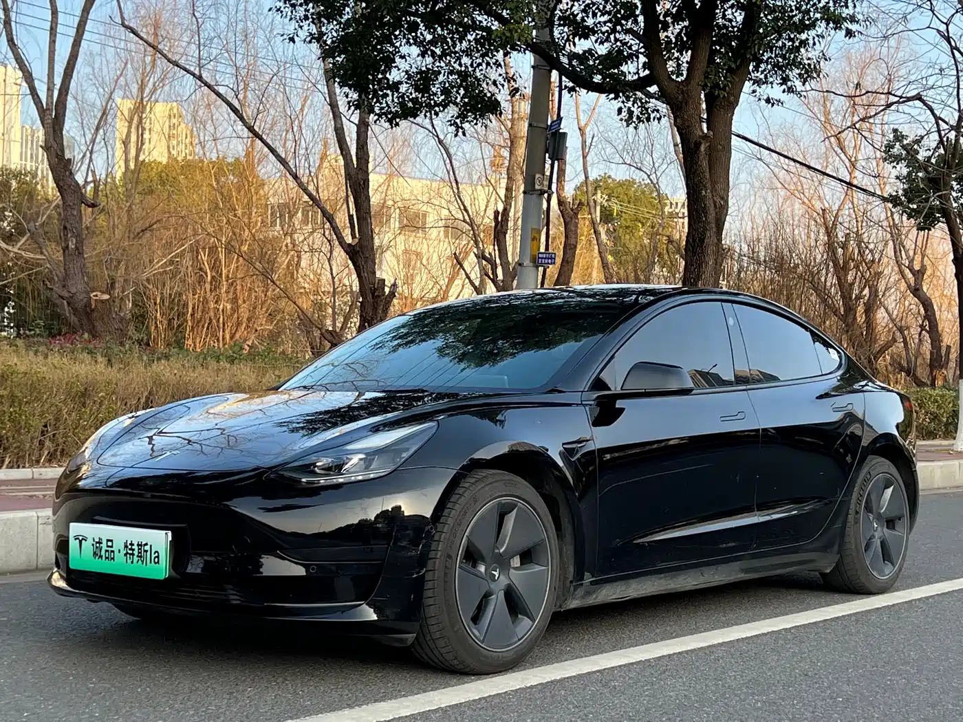 TESLA MODEL 3
