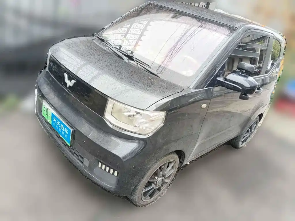 Wuling Motors Hongguang MINIEV 2020 Enjoy Edition LFP